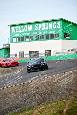 media/Feb-25-2024-Speed Ventures (Sun) [[b9a2a97a4d]]/Mustang Drivers Club/Session 1 (Turns 4 and 5)/